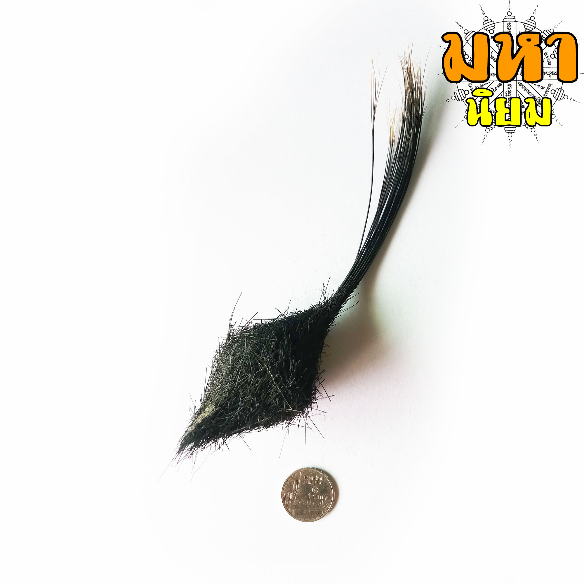 ช้องหมูป่า โปรดใช้วิจารณญาณ (ไม่สามารถเปิดเผยแหล่งที่มาได้)