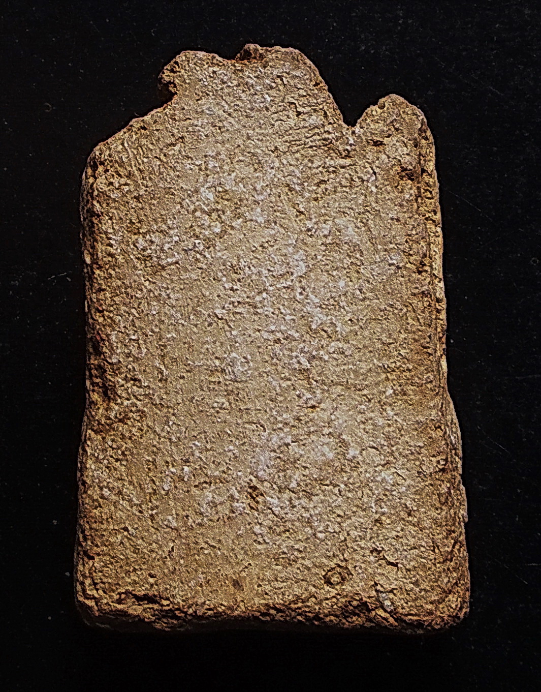 ซุ้มไข่ปลา กรุวัดป่าแตง อยุธยา