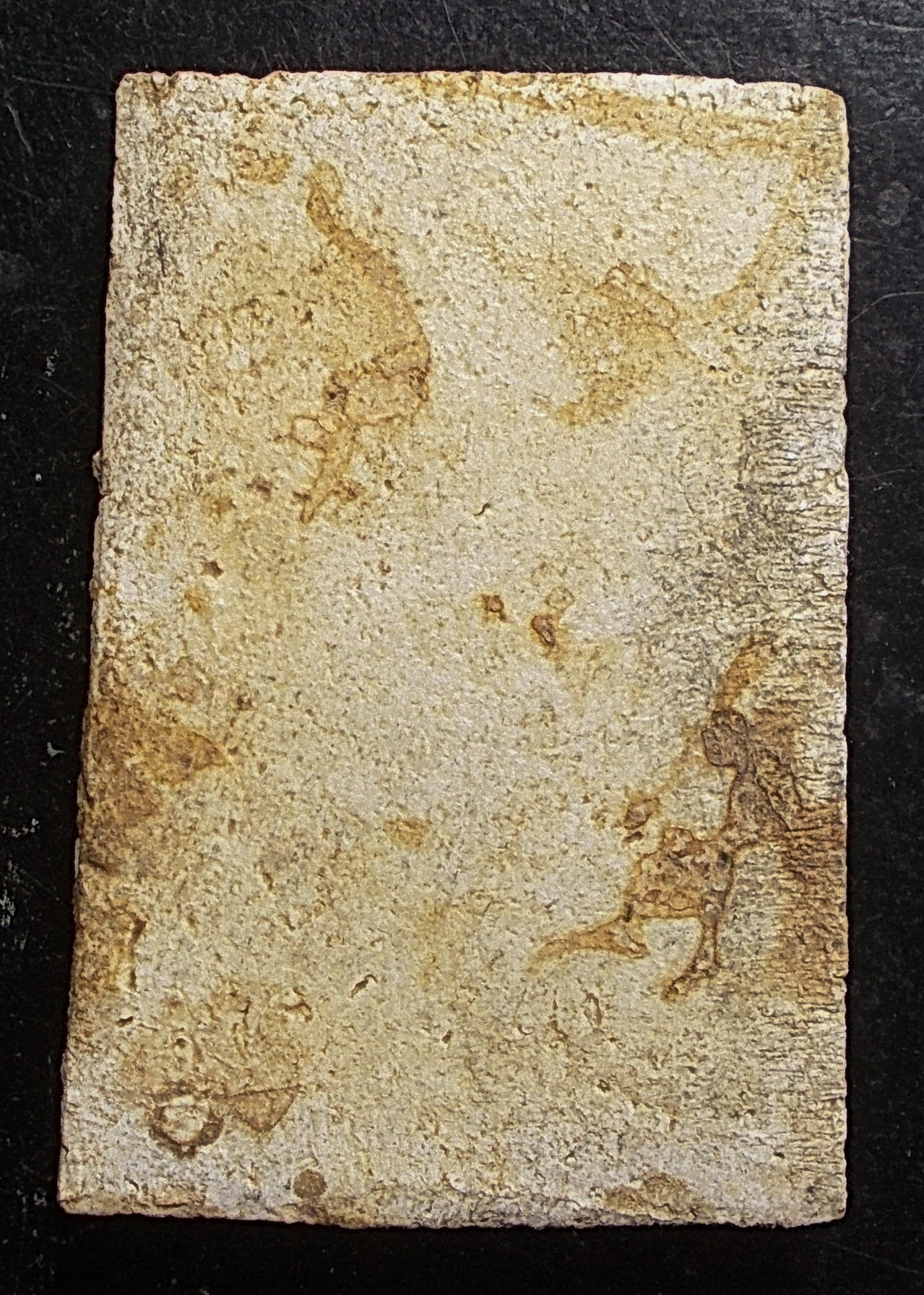 สมเด็จ ลป.นาค วัดระฆัง ปี 95