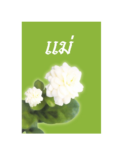แม่ (080)