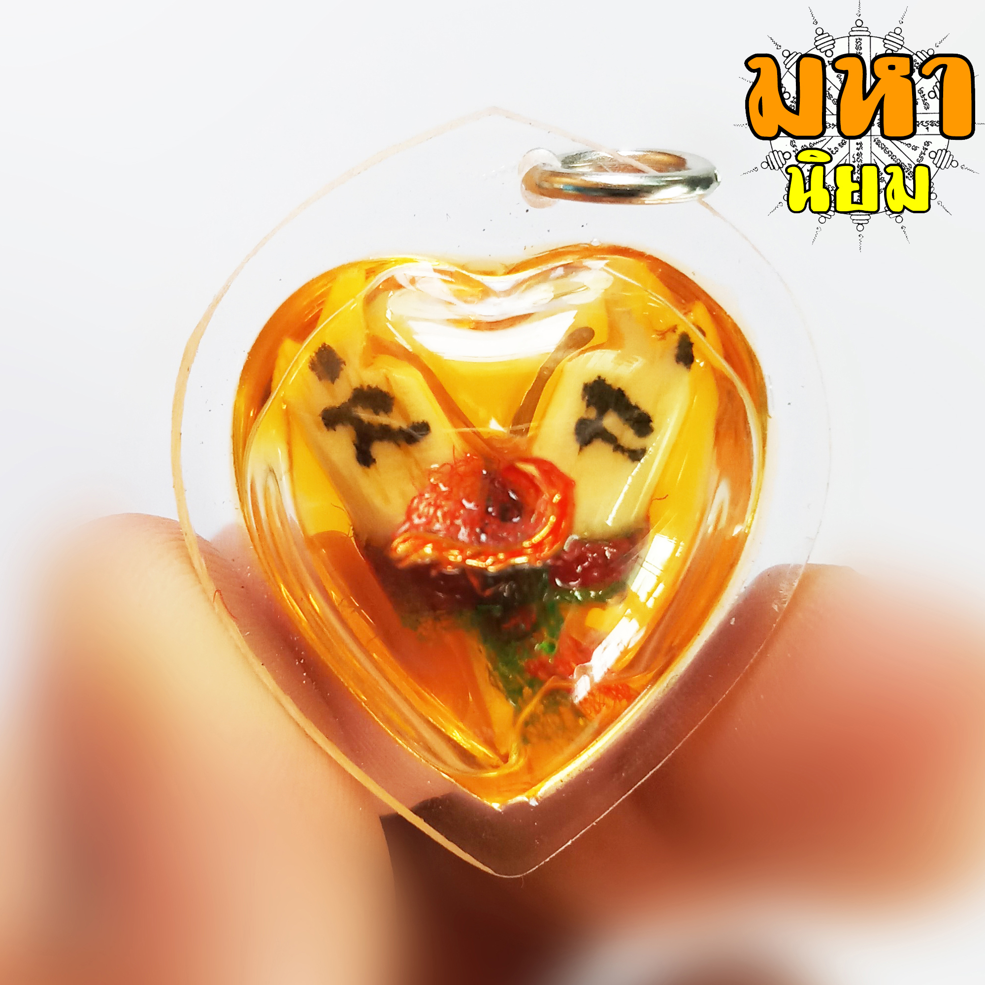 สาริกาลิ้นทอง แช่น้ำมัน เลี่ยมกรอบอย่างดี