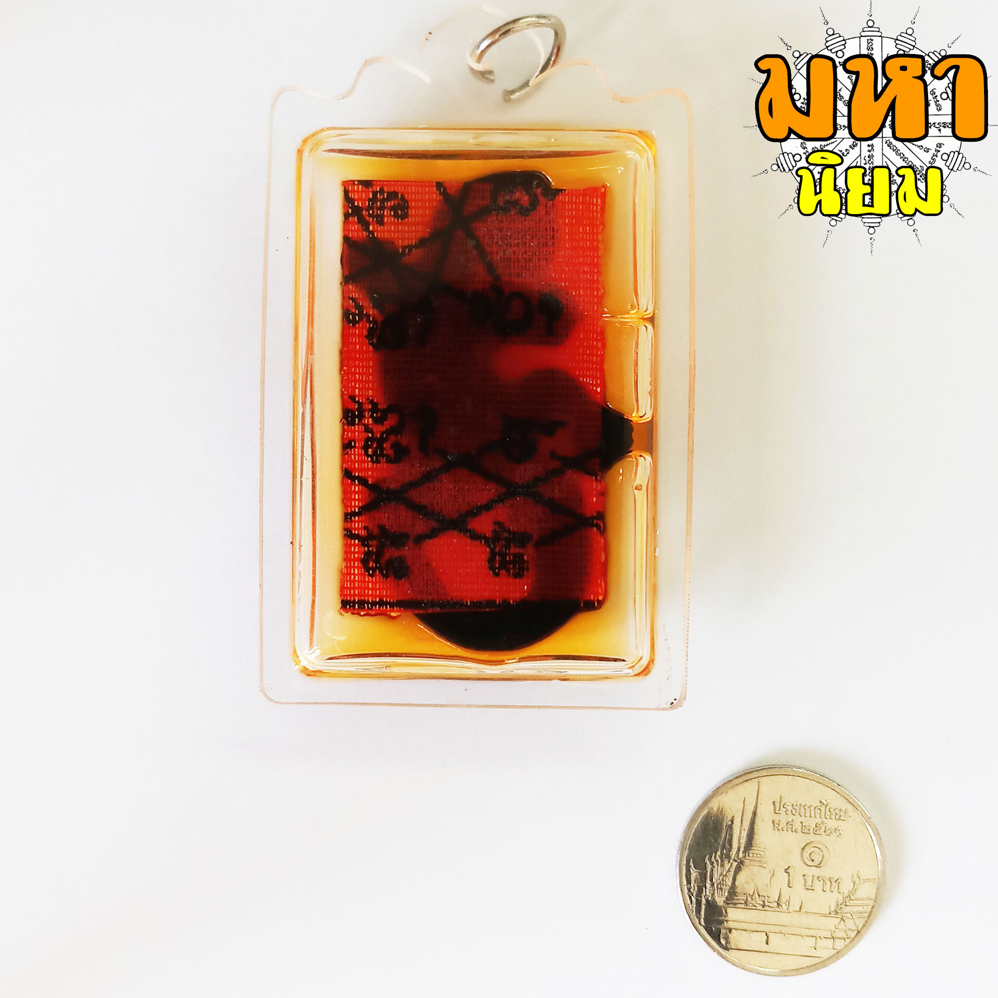 จิ้งจก น้ำมันจันทร์ หลังยันต์แดง เลี่ยมกรอบพลาสติกอย่างดี