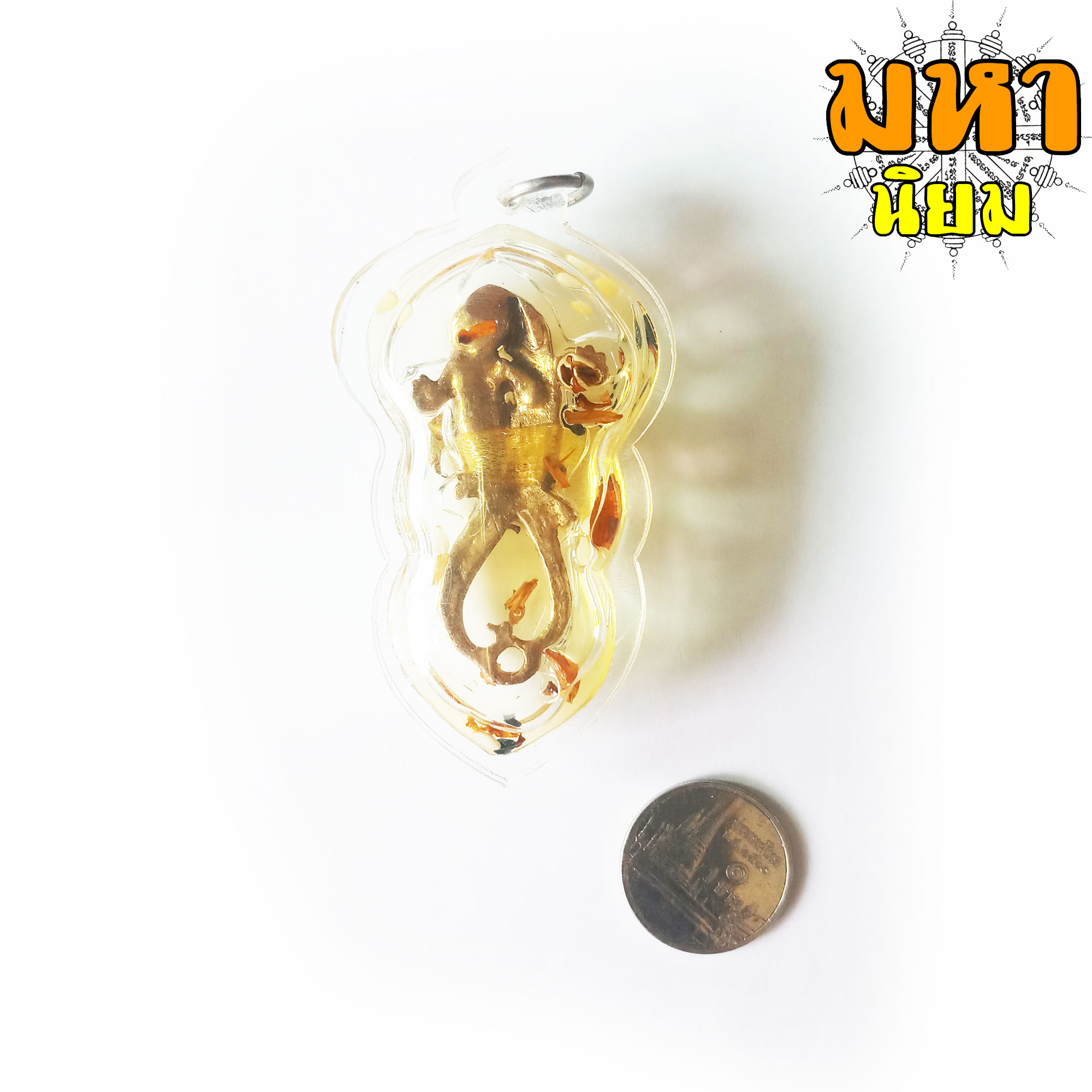 จิ้งจก แช่น้ำมัน หลวงพ่อเผือด วัดมะกอก กรุงเทพ เลี่ยมกรอบอย่างดี