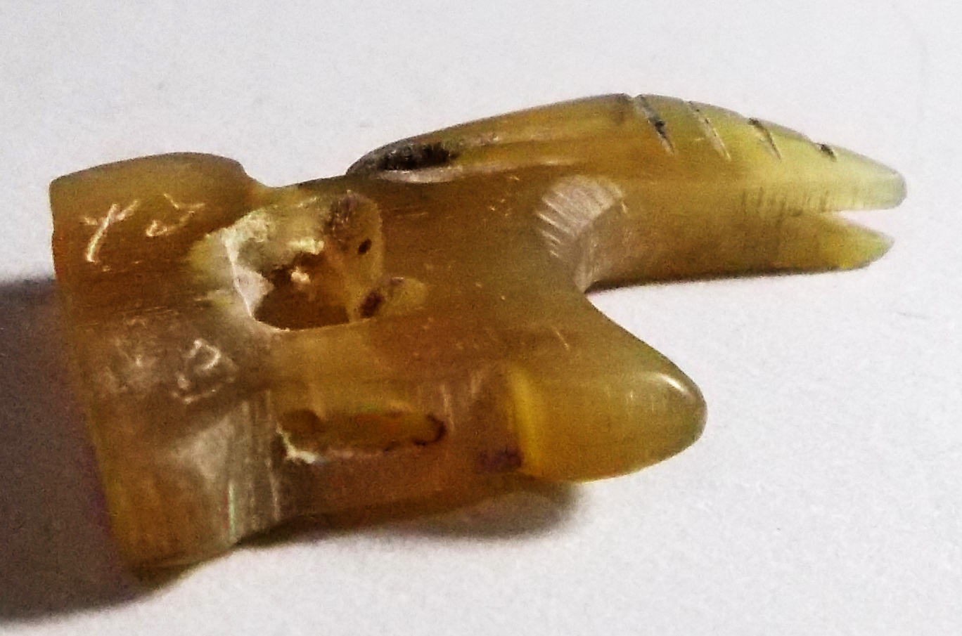 แพะเขาควายเผือกแกะลงจารย์ #831TL