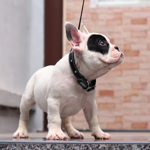 เด็กชายมาร์คกิ้งโจรสลัดเท่ห์ๆ อายุ2เดือน