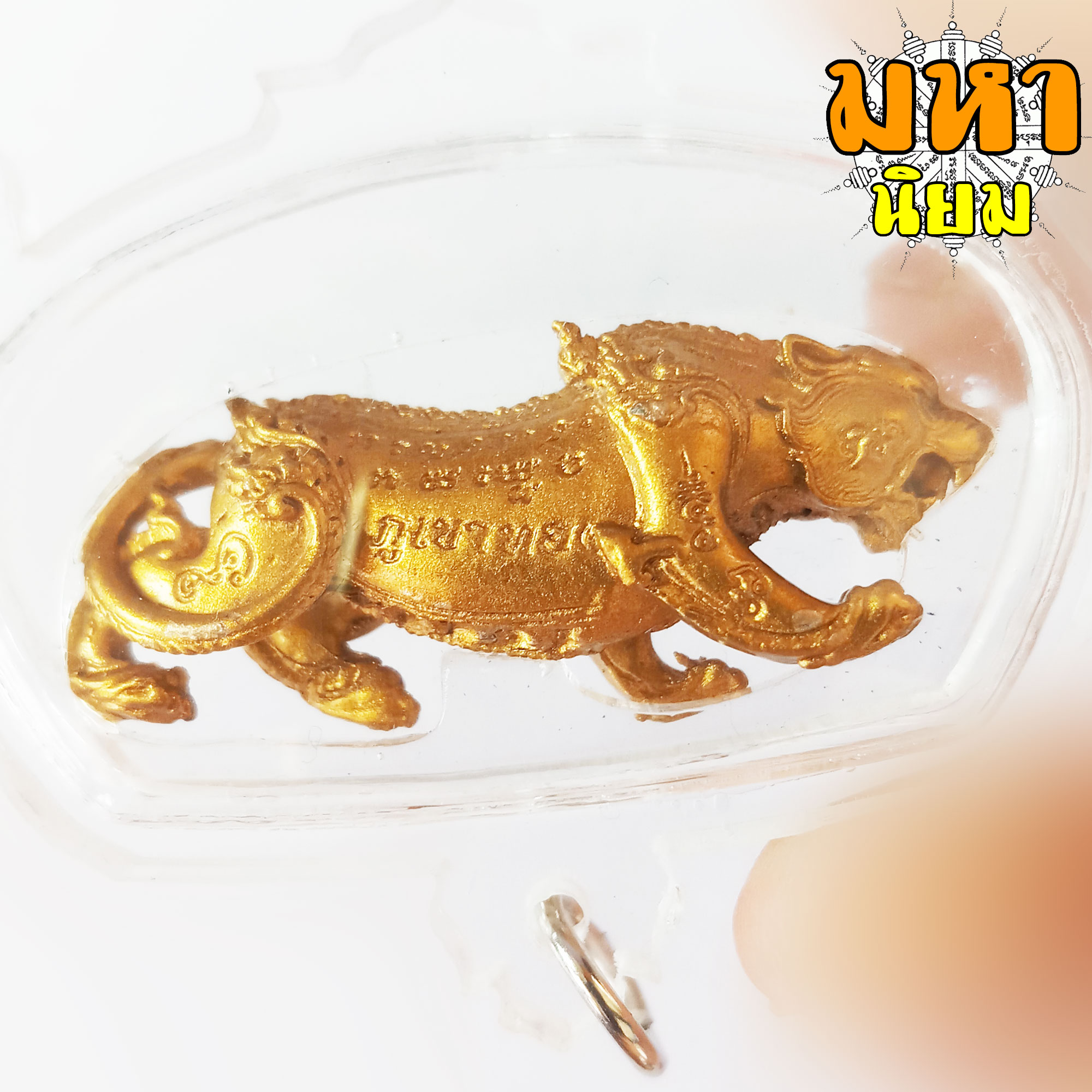 เสือเขาอ้อ พยัคฆ์ราชพุทธาคมเขาอ้อ วัดภูเขาทอง จ.พัทลุง เนื้อนวะโลหะ กะไหล่ทอง เลี่ยมกรอบอย่างดี