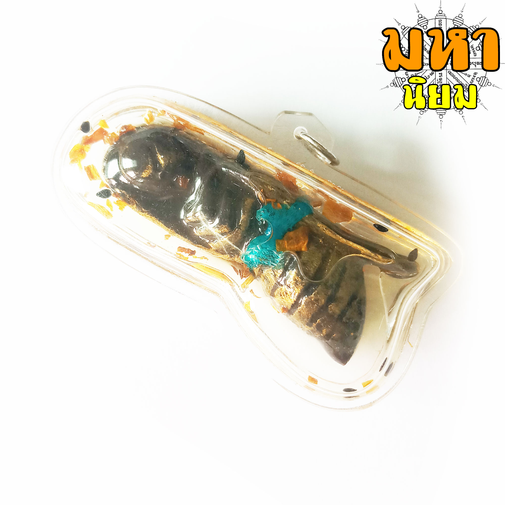 พญาต่อตัว (ใหญ่) วัดบางคลาน จ.พิจิตร