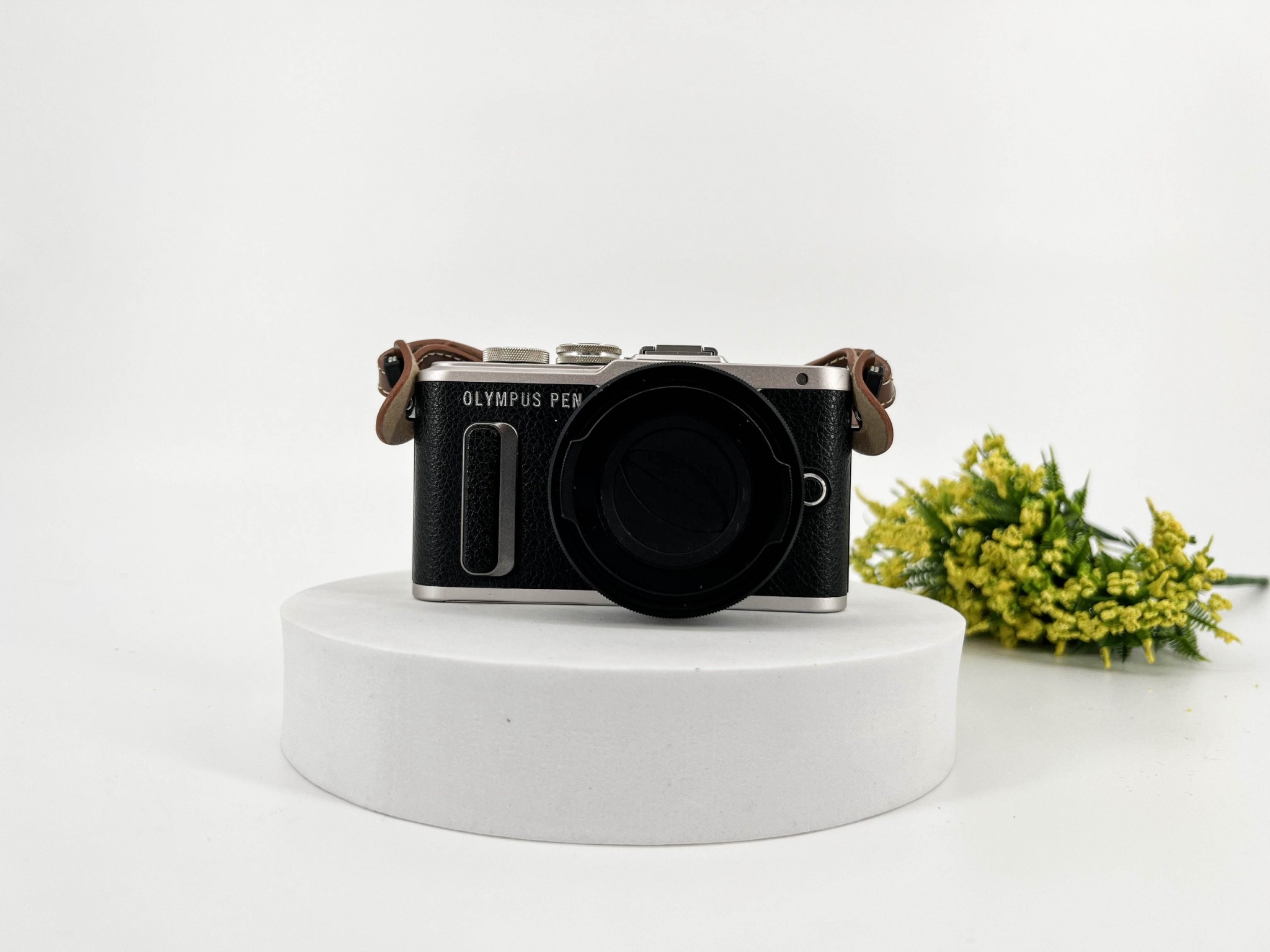 Olympus PEN E-PL8 + Lens 14-42 mm.