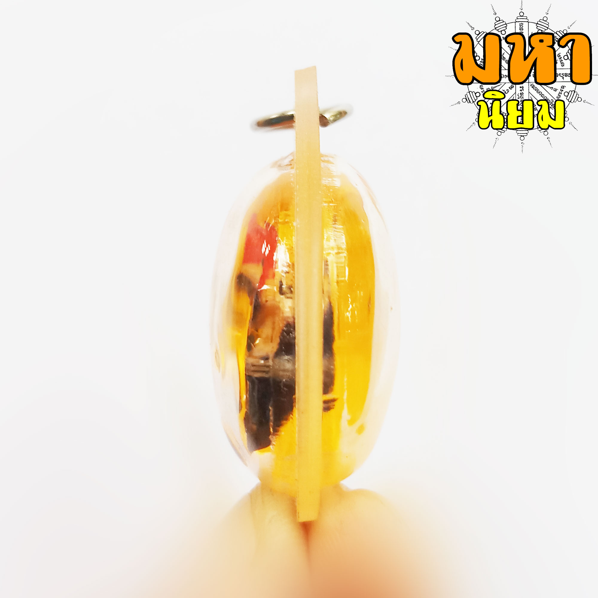 สาริกาลิ้นทอง แช่น้ำมันมนต์ เลี่ยมกรอบอย่างดี