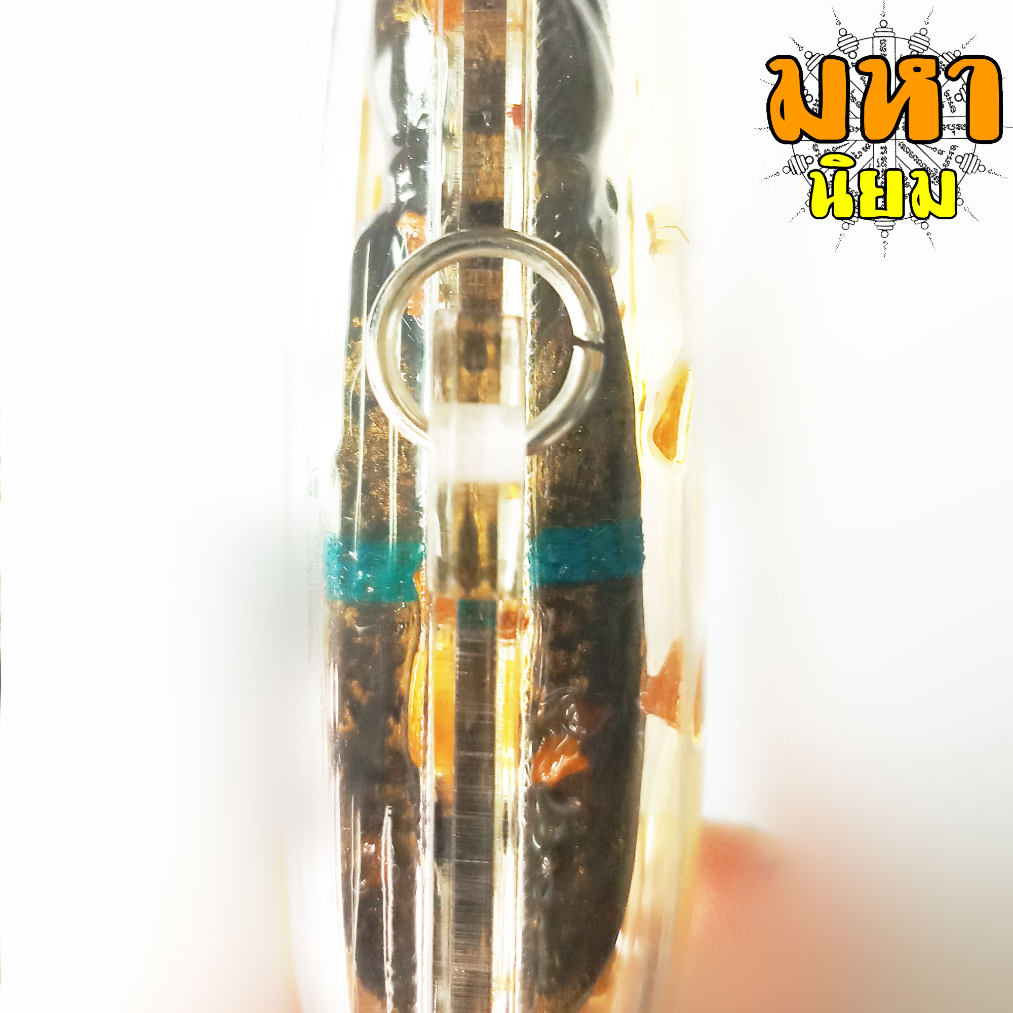 พญาต่อตัว (ใหญ่) วัดบางคลาน จ.พิจิตร