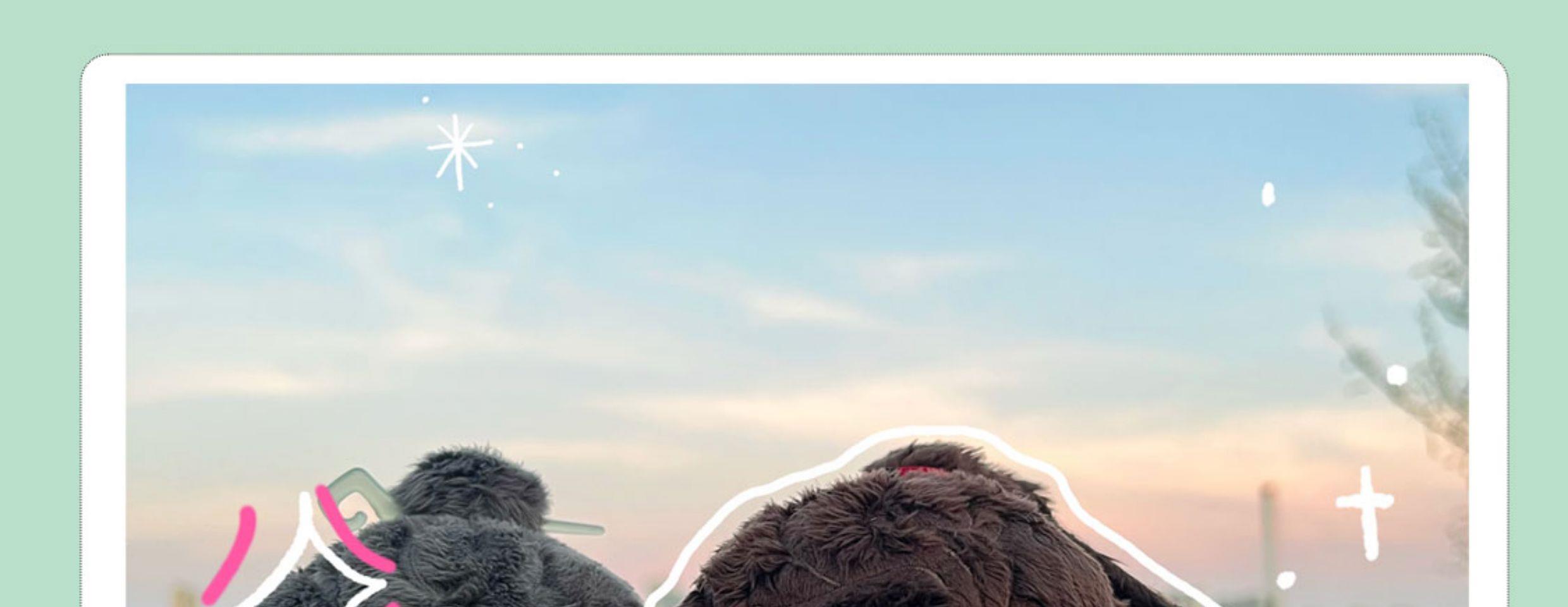 Pre - ตุ๊กตาดอกไม้ปรมาจารย์ลัทธิมาร วั่งเซี่ยน เว่ยอู๋เซี่ยน Wei Wuxian Lan Wangji