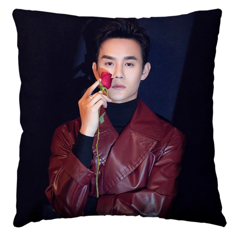Pre - หมอนลายหวังข่าย WangKai 40 cm หมอนดารา