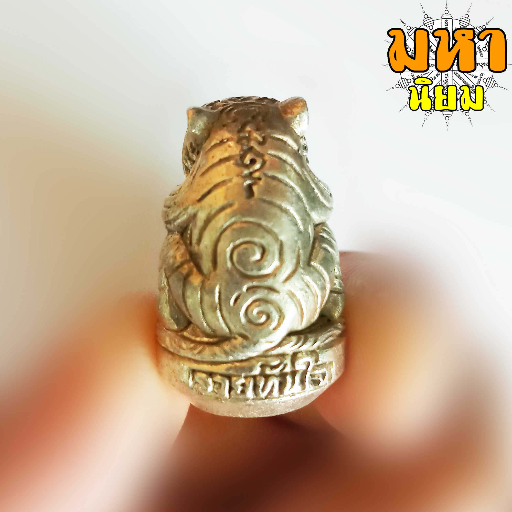 เสือเศรษฐี หลวงปู่หมุน วัดบ้านจาน จ.ศรีสะเกษ