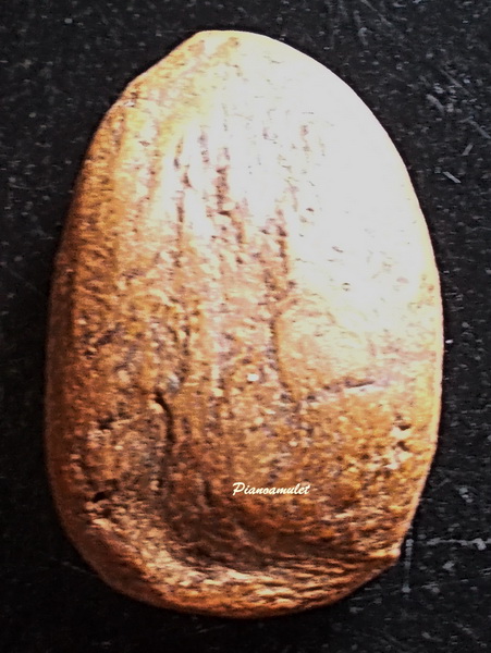 พระเม็ดบัว เนื้อดิน เจ้าคุณโพธิ์ กรุวัดชัยพฤกษ์มาลา พิมพ์สังกัจจายน์