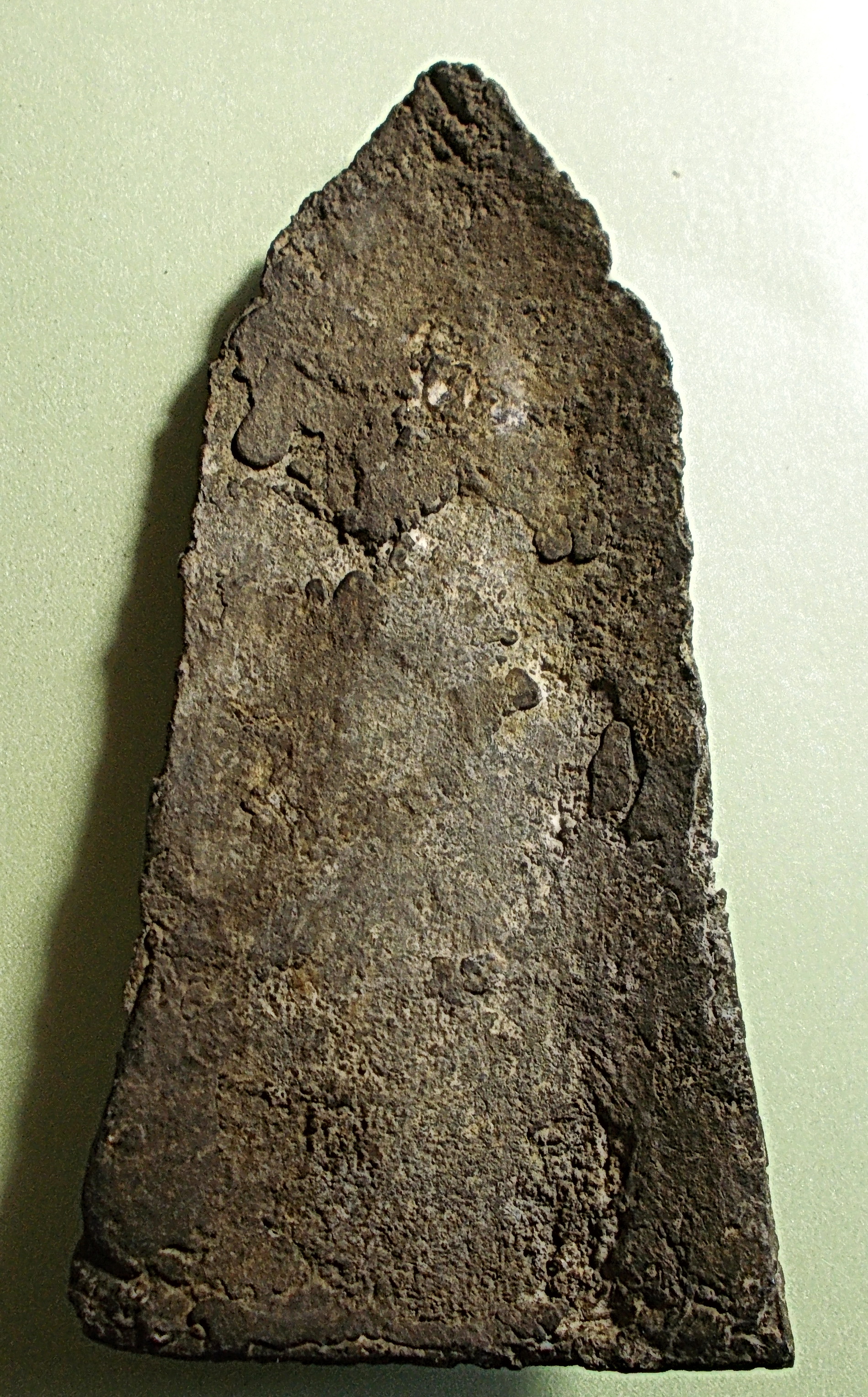 โคนสมอ เนื้อชิน ปางประทานพร กรุวังหน้า (ขายแล้ว)