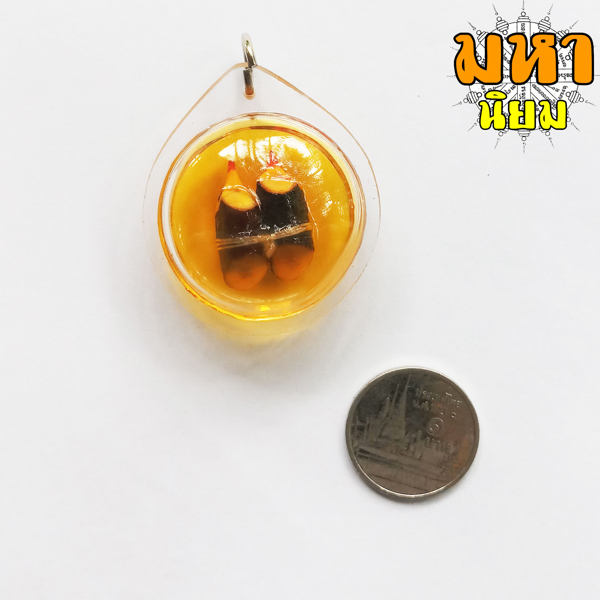 สาริกาลิ้นทอง แช่น้ำมันมนต์ เลี่ยมกรอบอย่างดี