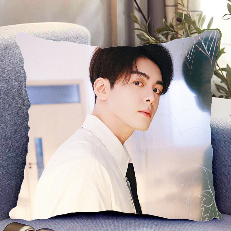 Pre - หมอนลายเจิงซุ่นซี ZengShunxi 40 cm หมอนดารา