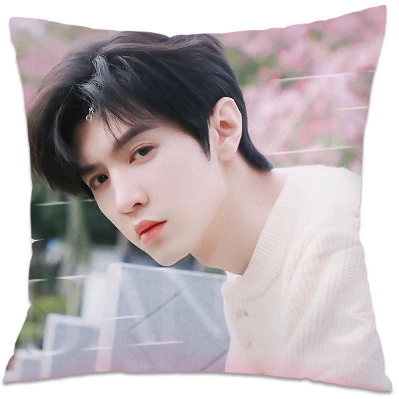 Pre - หมอนลาย ChenZheyuan เฉินเจ๋อหย่วน 33 cm