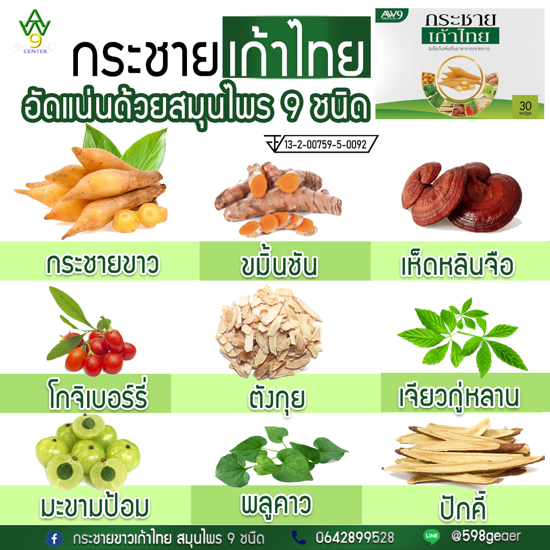 กระชายขาว เก้าไทย (สมุนไพร) - AW9