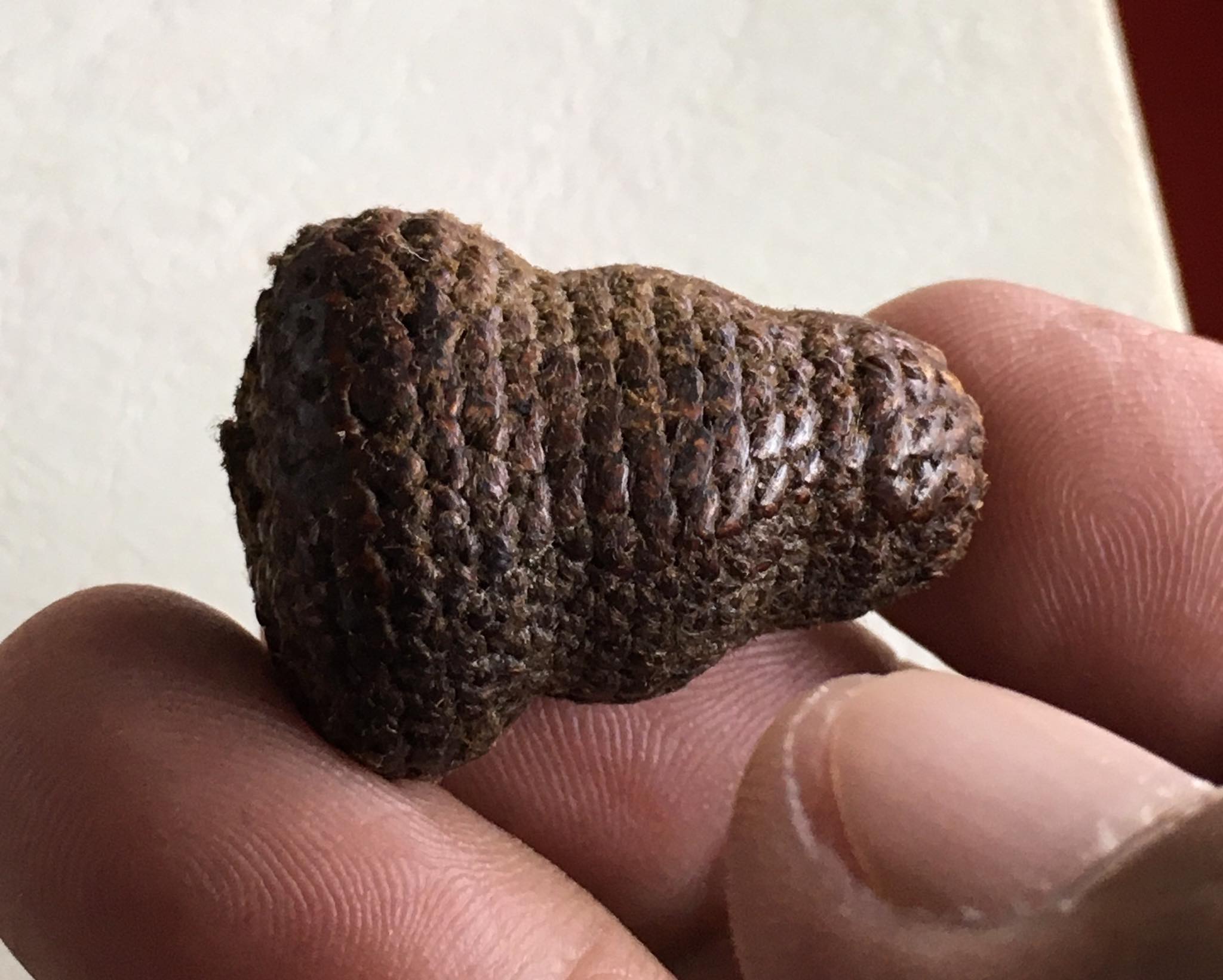 พระปิดตาเนื้อผง คลุงรัก ถักเชือก หลวงพ่อทองสุข วัดสะพานสูง