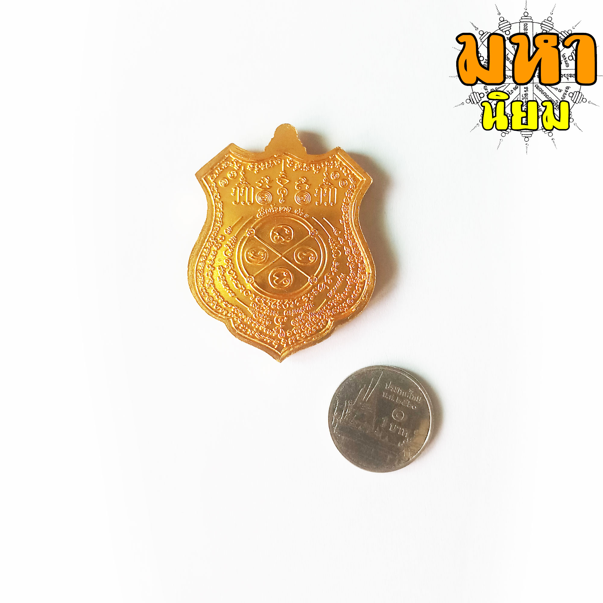 เหรียญเสือหัวขาดตัวหนึ่ง หลวงพ่อไฉน ฉนฺทสาโร จ.ขอนแก่น เนื้อลงยาสี พร้อมกล่องอย่างดี