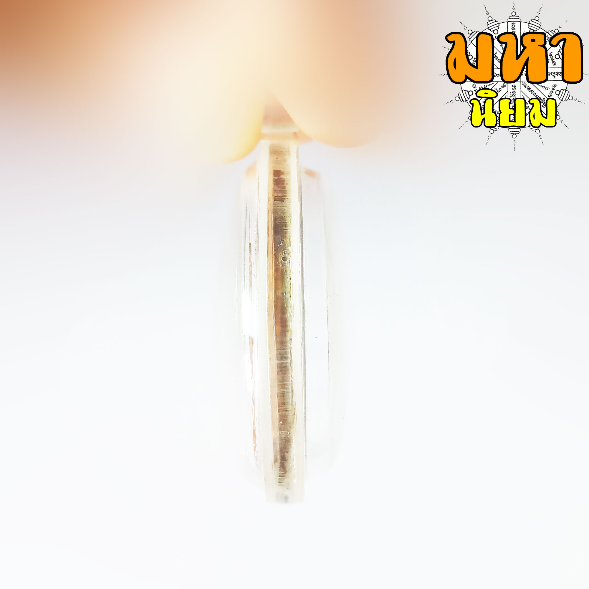 เหรียญหมูเสพเสือ เหรียญหวานหมู หลวงปู่ครูบาคำเป็ง จ.กำแพงเพชร เลี่ยมกรอบอย่างดี