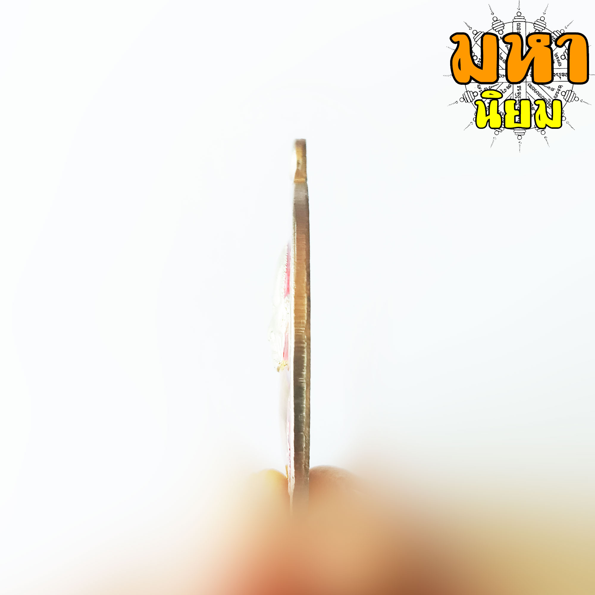 เหรียญชนะจน เนื้อเงินลงยา หลวงพ่อรวย ปาสาทิโก วัดตะโก จ.อยุธยา พร้อมกล่องอย่างดี