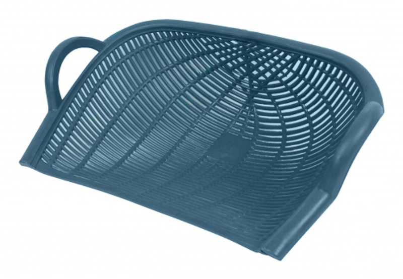 บุ้งกี๋หวายฟ้า