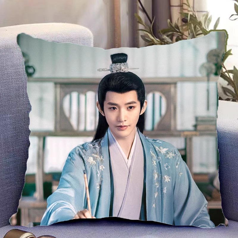 Pre - หมอนลาย เติ้งเหวย DengWei 40 cm ซีรี่ย์จีน หมอนอิง