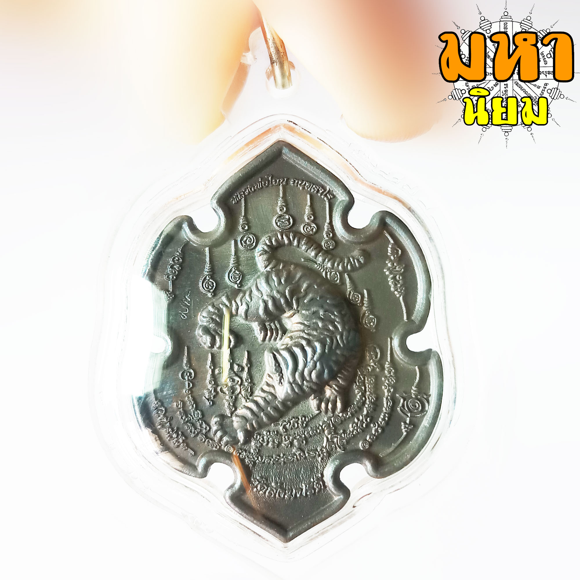 เหรียญเสือล่าเหยื่อ เสือหัวขาดตัวที่ 6 หลวงพ่อไฉน ฉนฺทสาโร จ.ขอนแก่น เนื้อนวะโลหะ เลี่ยมกรอบอย่างดี