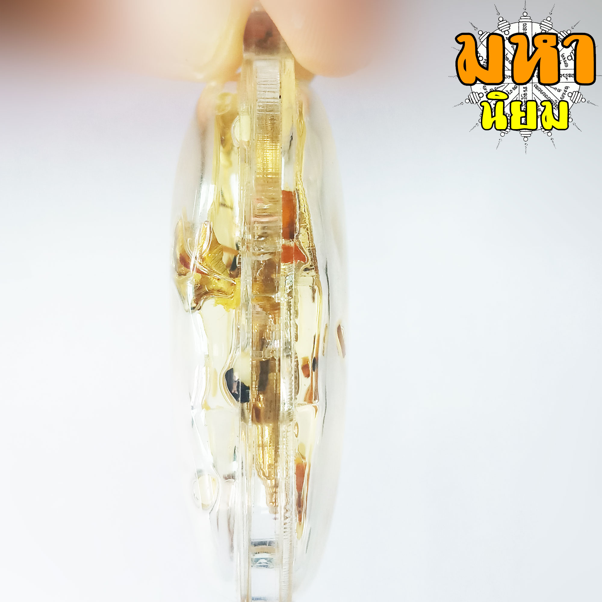 จิ้งจก แช่น้ำมัน หลวงพ่อเผือด วัดมะกอก กรุงเทพ เลี่ยมกรอบอย่างดี