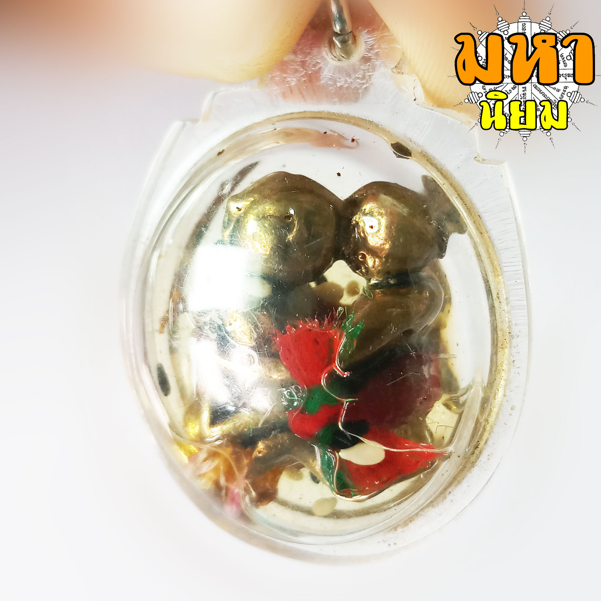 อิ้นคู่ แช่น้ำมัน เลี่ยมกรอบอย่างดี