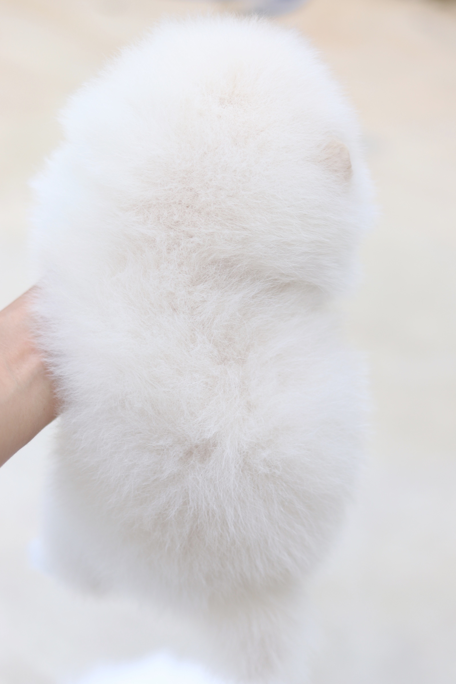 ปอมเมอเรเนียน เพศเมีย สีขาวครีม