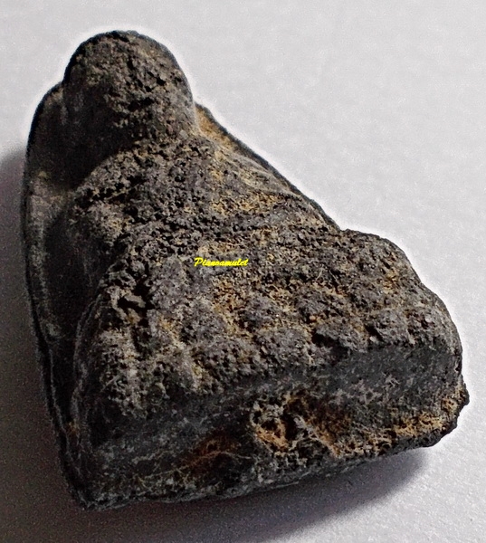 ลป.ทวด พิมพ์ใหญ่ เนื้อลังเม้ง วัดประสาท ปี 06