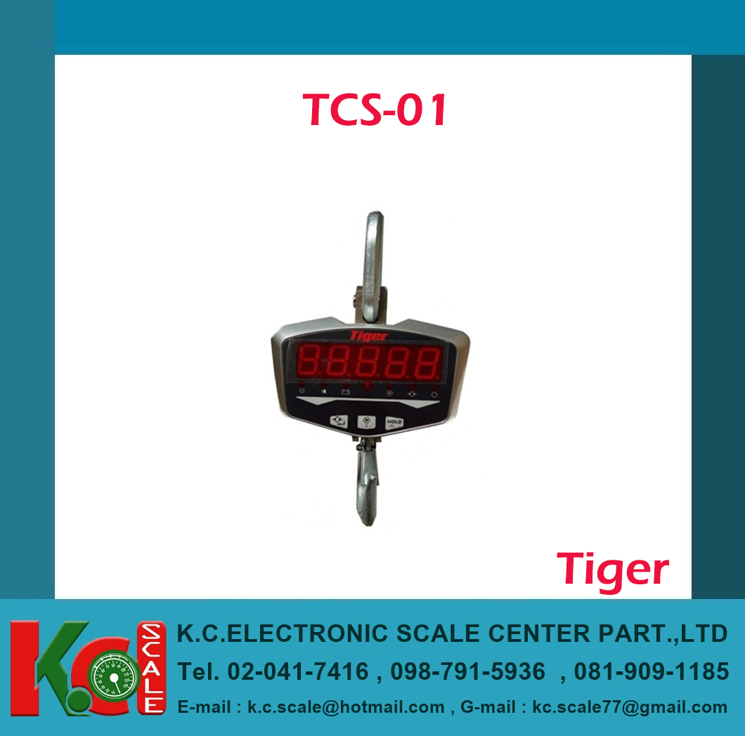 เครื่องชั่งแขวน TCS-01-300kg