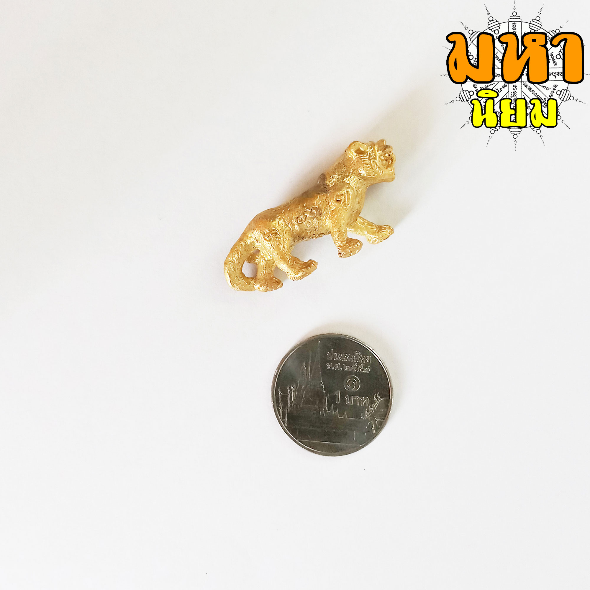 เสือหลวงพ่อเปิ่น ฐิตคุโณ วัดบางพระ จ.นครปฐม