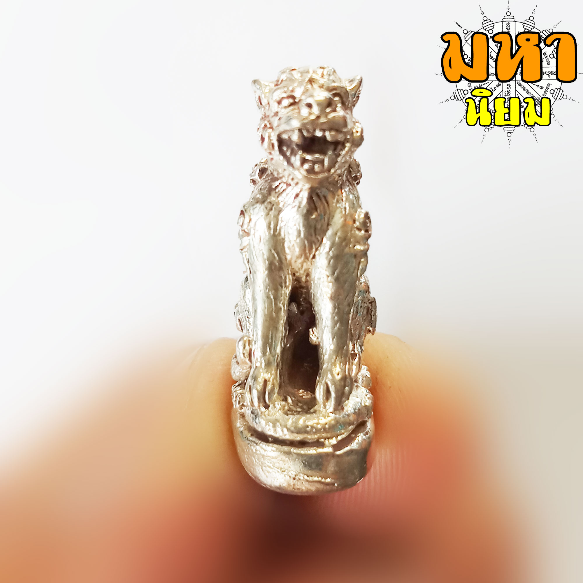 เสือหลวงพ่อปาน วัดคลองด่าน จ.สมุทรปราการ