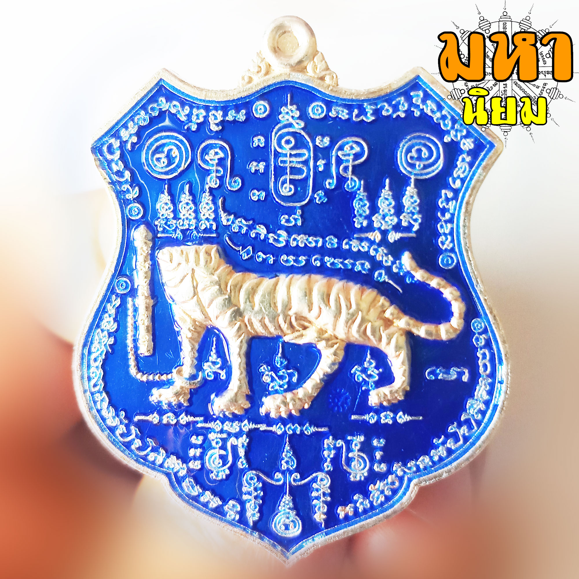 เหรียญเสือหัวขาดตัวหนึ่ง หลวงพ่อไฉน ฉนฺทสาโร จ.ขอนแก่น เนื้อลงยาสี พร้อมกล่องอย่างดี