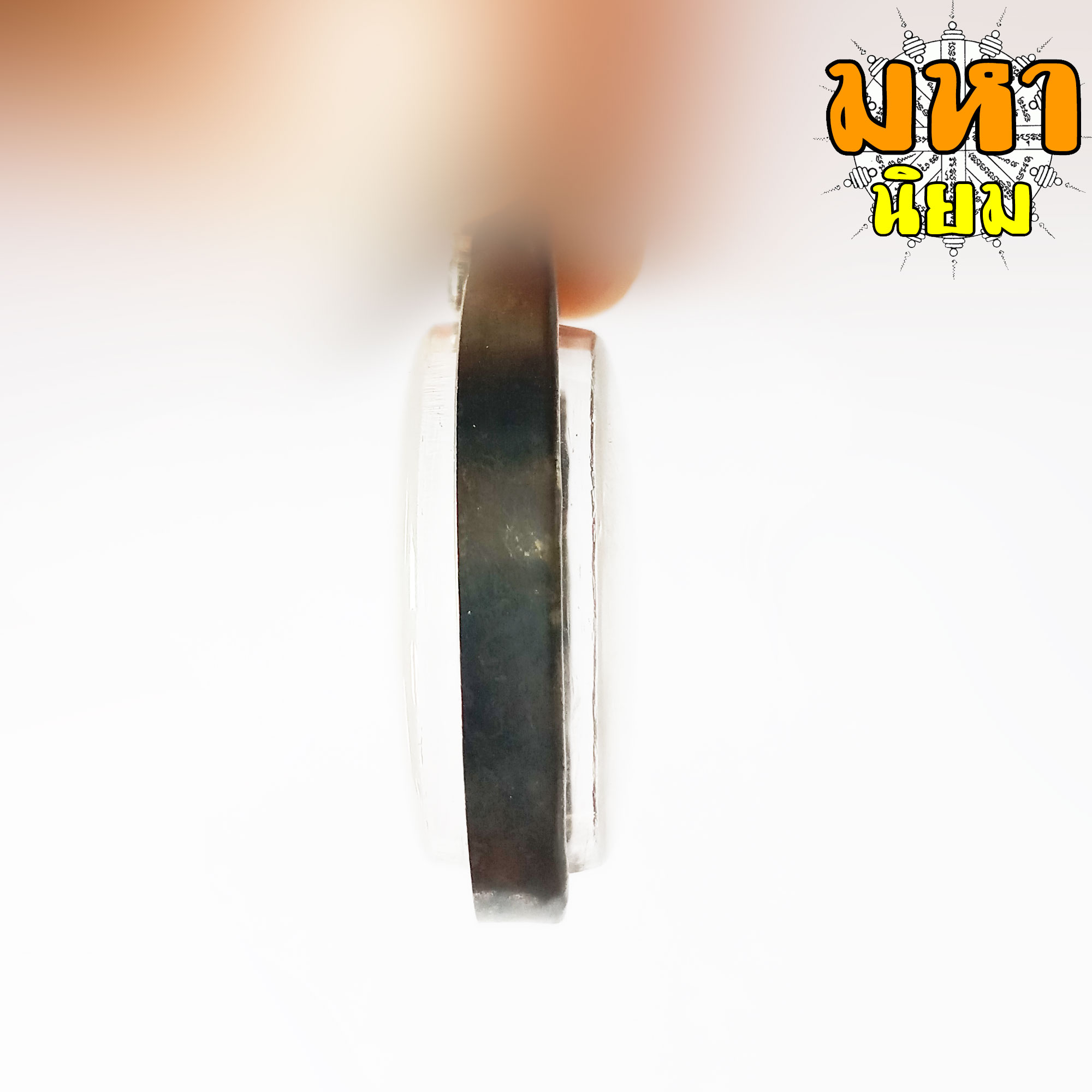 เหรียญจุฬาลงกรณ์ ช้าง 3 เศียร เลี่ยมกรอบโลหะ (ไม่สามารถใช้จ่ายได้)