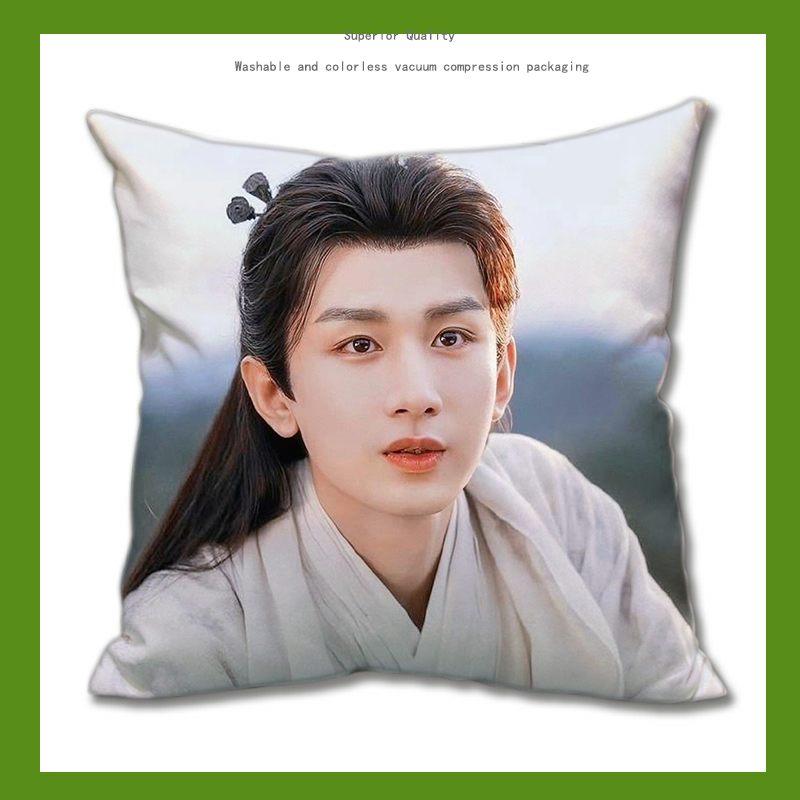 Pre - หมอนลายเฉิงอี้ ChengYi 40 cm หมอนดารา