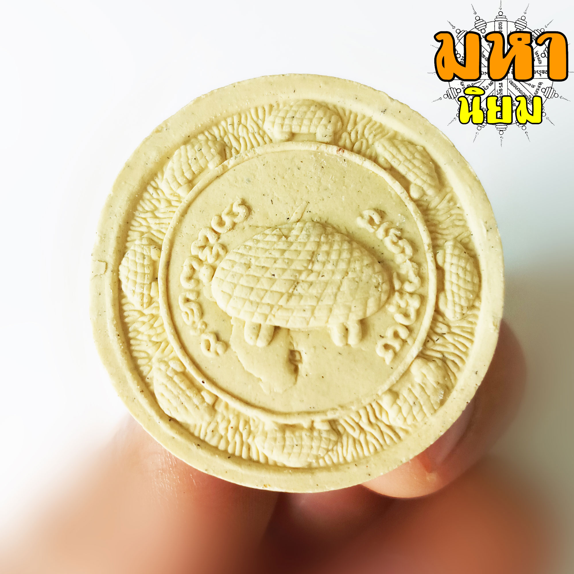 เหรียญหนุมาน เชิญเบี้ย หลวงปู่เจือ ปิยสีโล วัดกลางบางแก้ว จ.นครปฐม