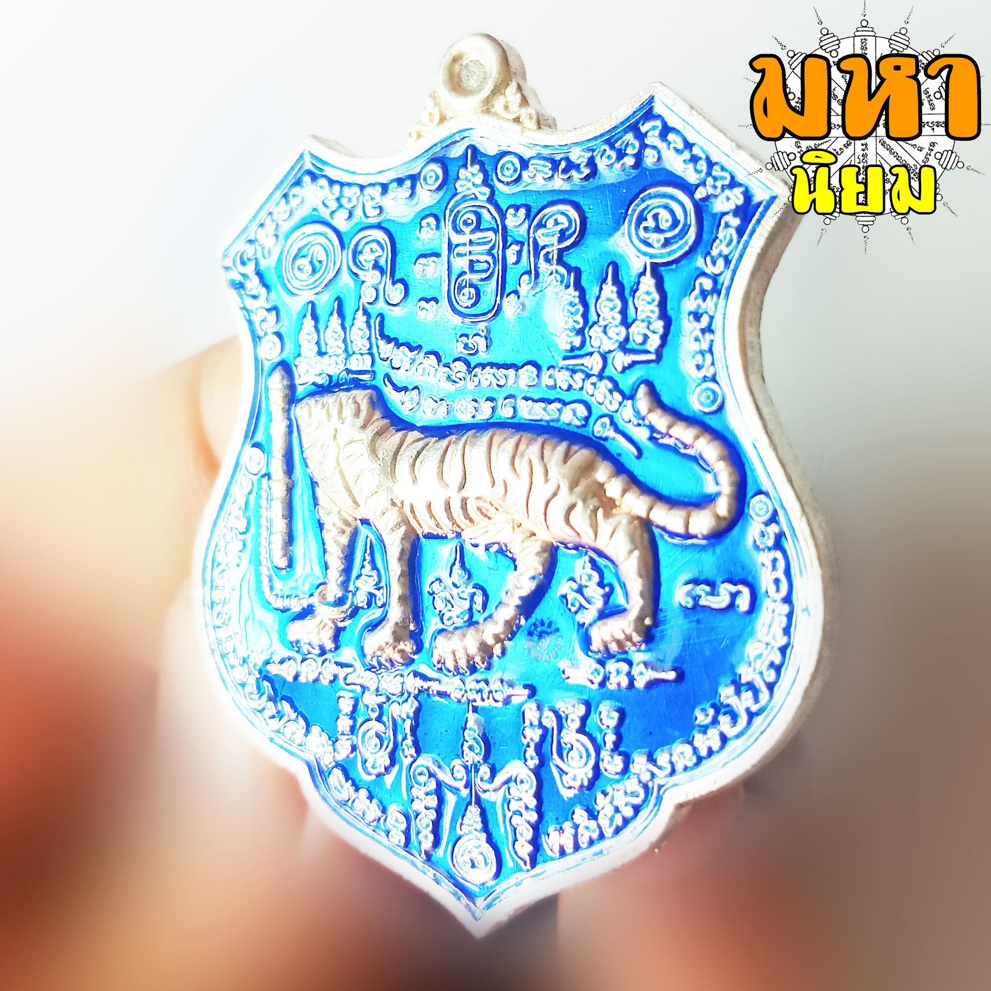 เหรียญเสือหัวขาดตัวหนึ่ง หลวงพ่อไฉน ฉนฺทสาโร จ.ขอนแก่น เนื้อลงยาสี พร้อมกล่องอย่างดี