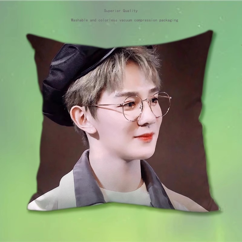 Pre - หมอนลายเซี่ยจือกวง XiaZhiguang 夏之光 40 ซม.