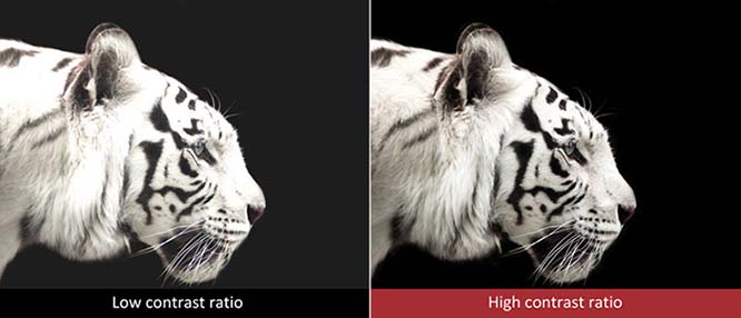 ViewSonic LSD400W Laser Projector