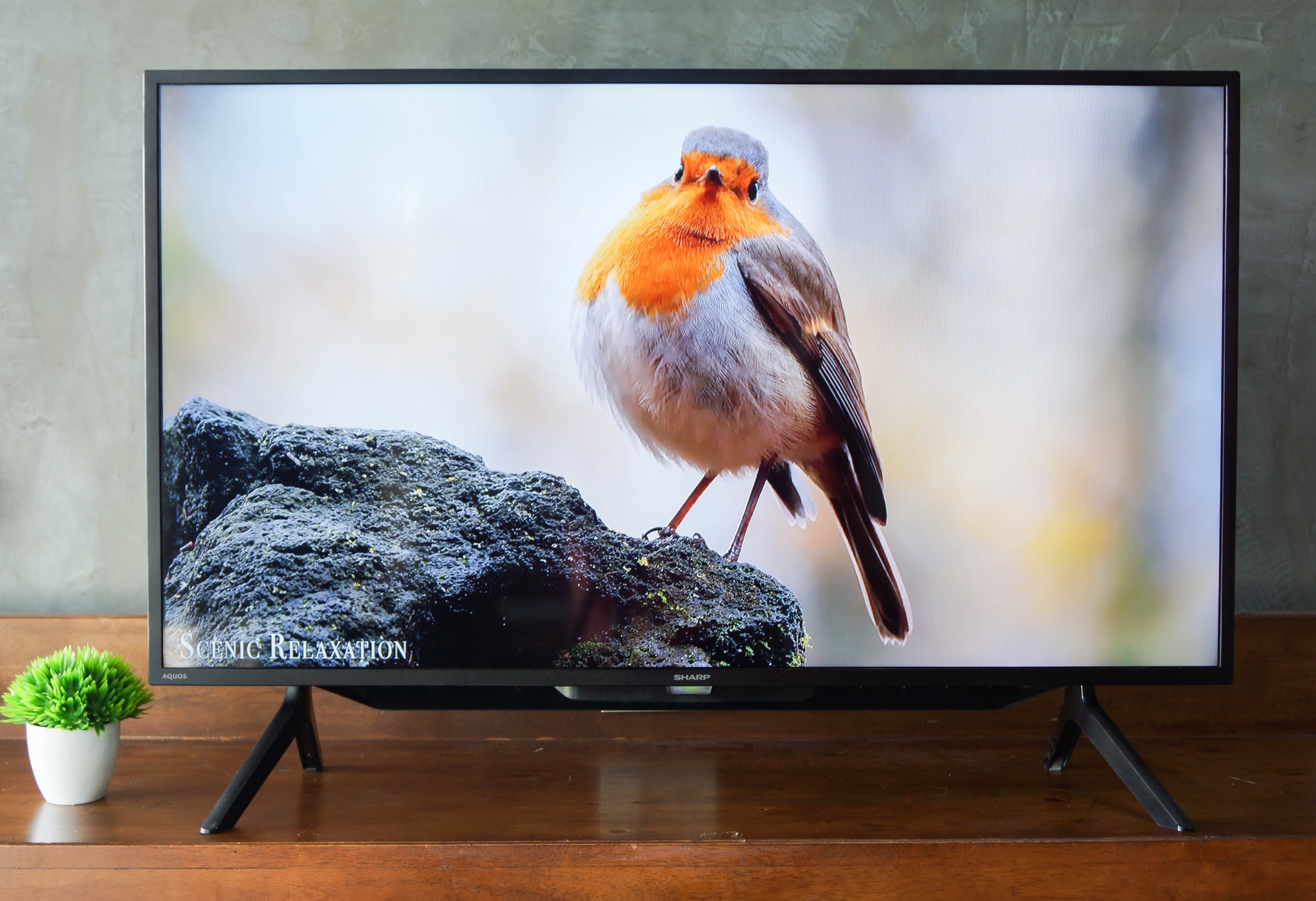 SHARP ทีวี FHD LED (42", Android) รุ่น 2T-C42BG1X