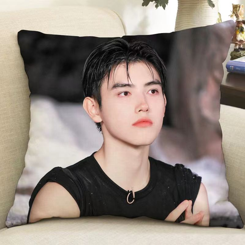 Pre - หมอนลายเฉินเฟยอวี่ ChenFeiyu ซีรี่ส์จีน