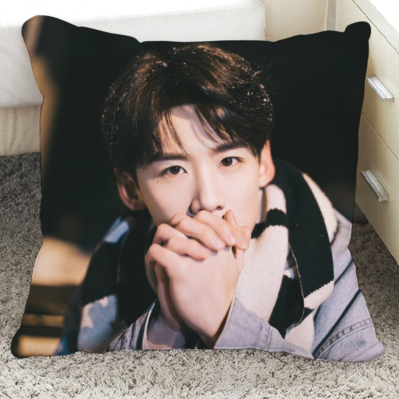 Pre - หมอนลายไป๋จิงถิง BaiJingting 40 ซม.