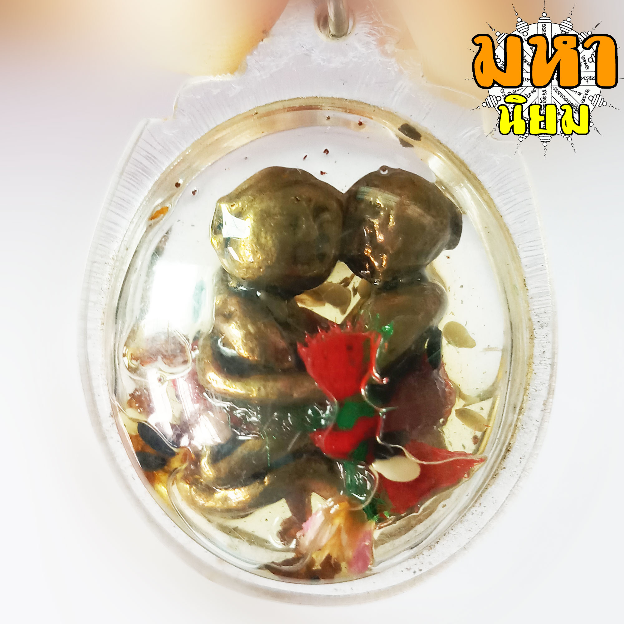 อิ้นคู่ แช่น้ำมัน เลี่ยมกรอบอย่างดี