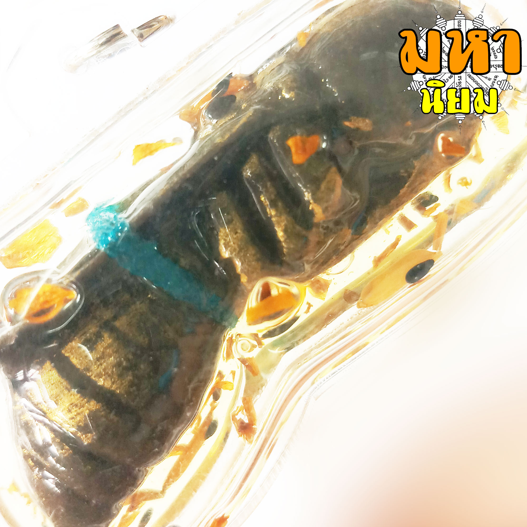 พญาต่อตัว (ใหญ่) วัดบางคลาน จ.พิจิตร