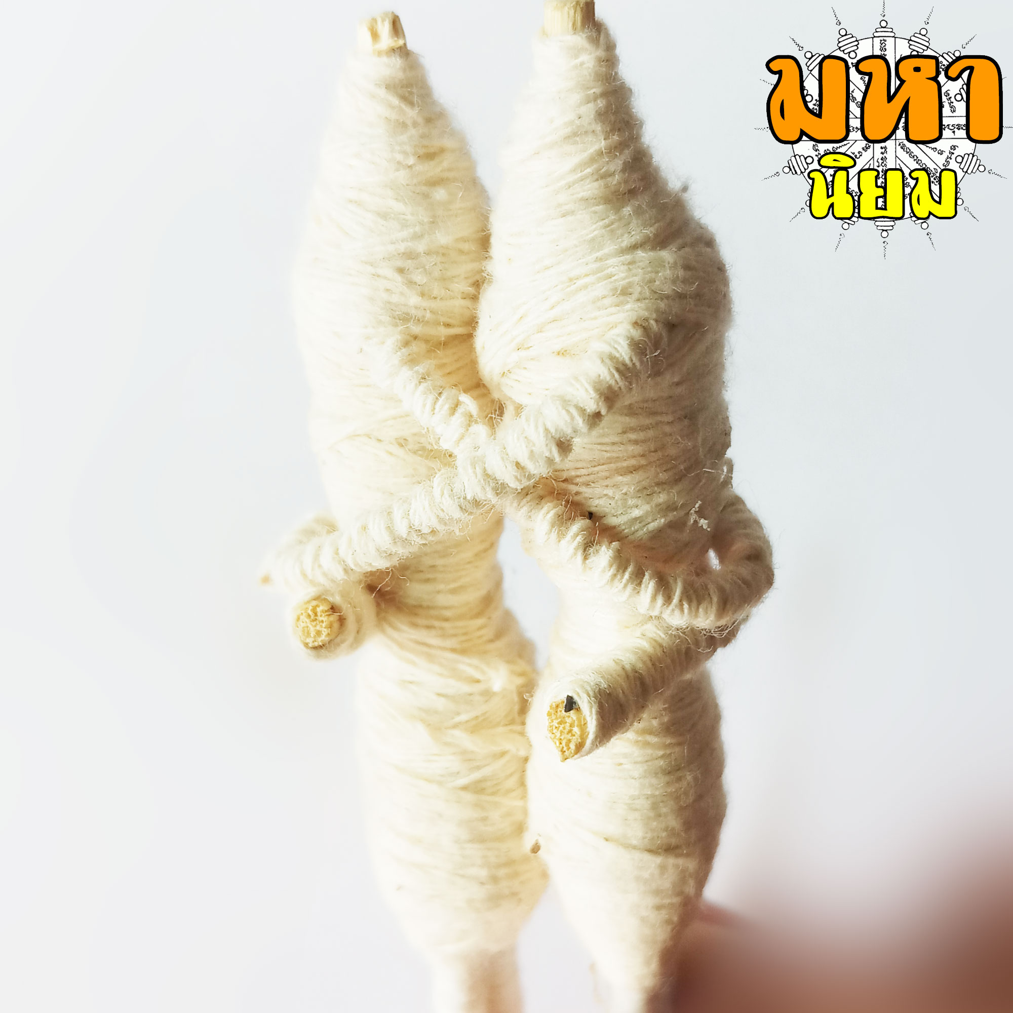 อิ้นคู่ หุ่นพยนต์ ครูบาเดช จ.ลำปาง